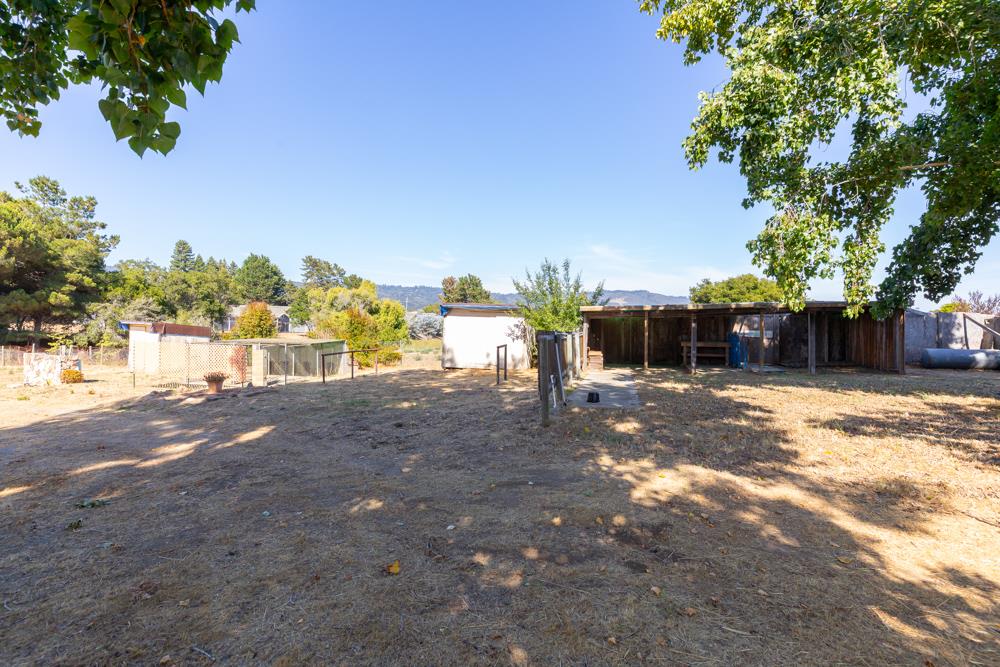 96 Wheelock Road Watsonville, CA 95076 - Photo 29 of 53 a view of a yard with plants and trees