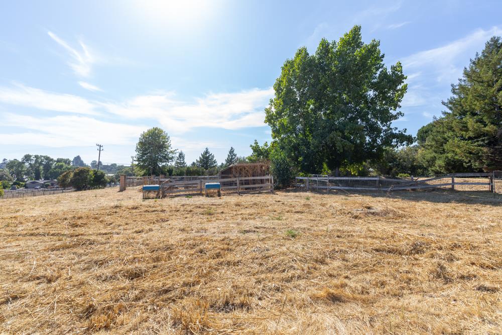96 Wheelock Road Watsonville, CA 95076 - Photo 37 of 53 a view of a yard with trees