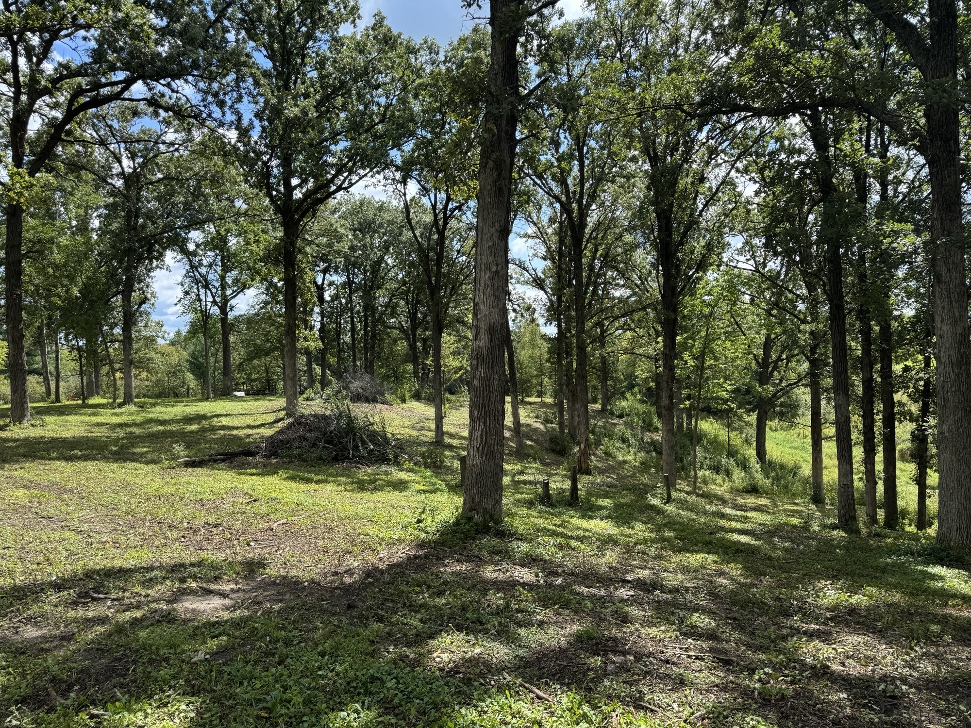 Lot 28 21st Street Rice Lake, WI 54868 - Photo 14 of 40