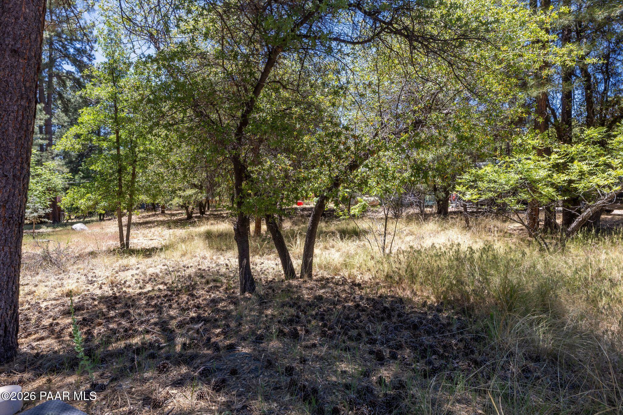 4120 South Stagecoach Road Prescott, AZ 86303 - Photo 5 of 12 014-Land