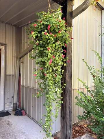 $750,000 | 5266 West 700 North, Lake Village, IN 46349