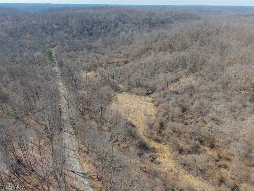 0 Clem Garvin Road Caldwell, OH 43724 - Photo 4 of 50 Aerial view of a forest