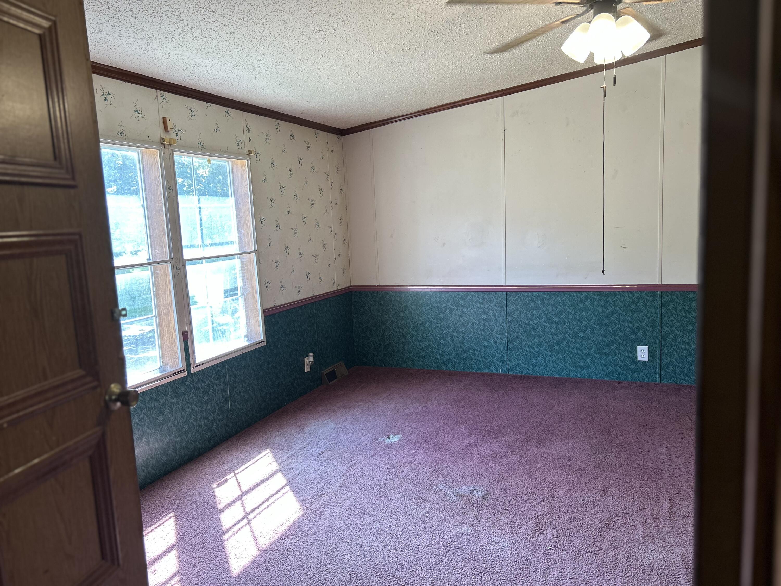 553 Borden Road Wickliffe, KY 42087 - Photo 48 of 66 IMG_4572