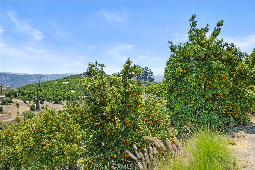 1252 Rancho Luiseno Road Escondido, CA 92026 - Photo 38 of 42
