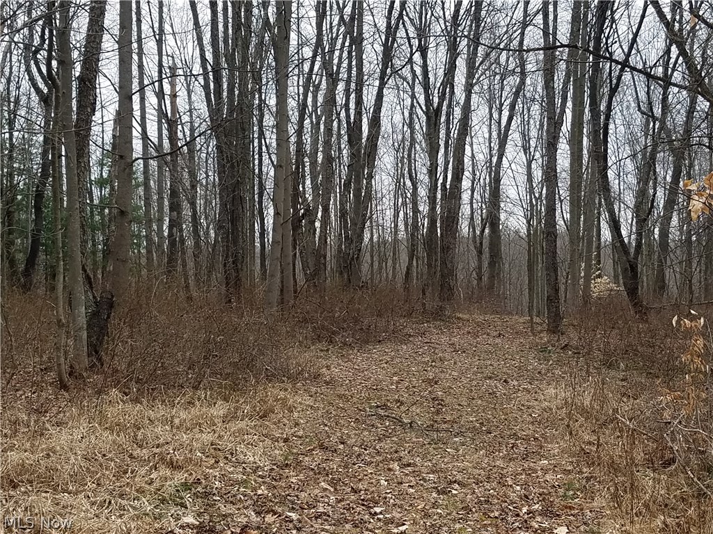 Twin Sisters Road Cambridge, OH 43725 - Photo 8 of 14 Gallery Image 8