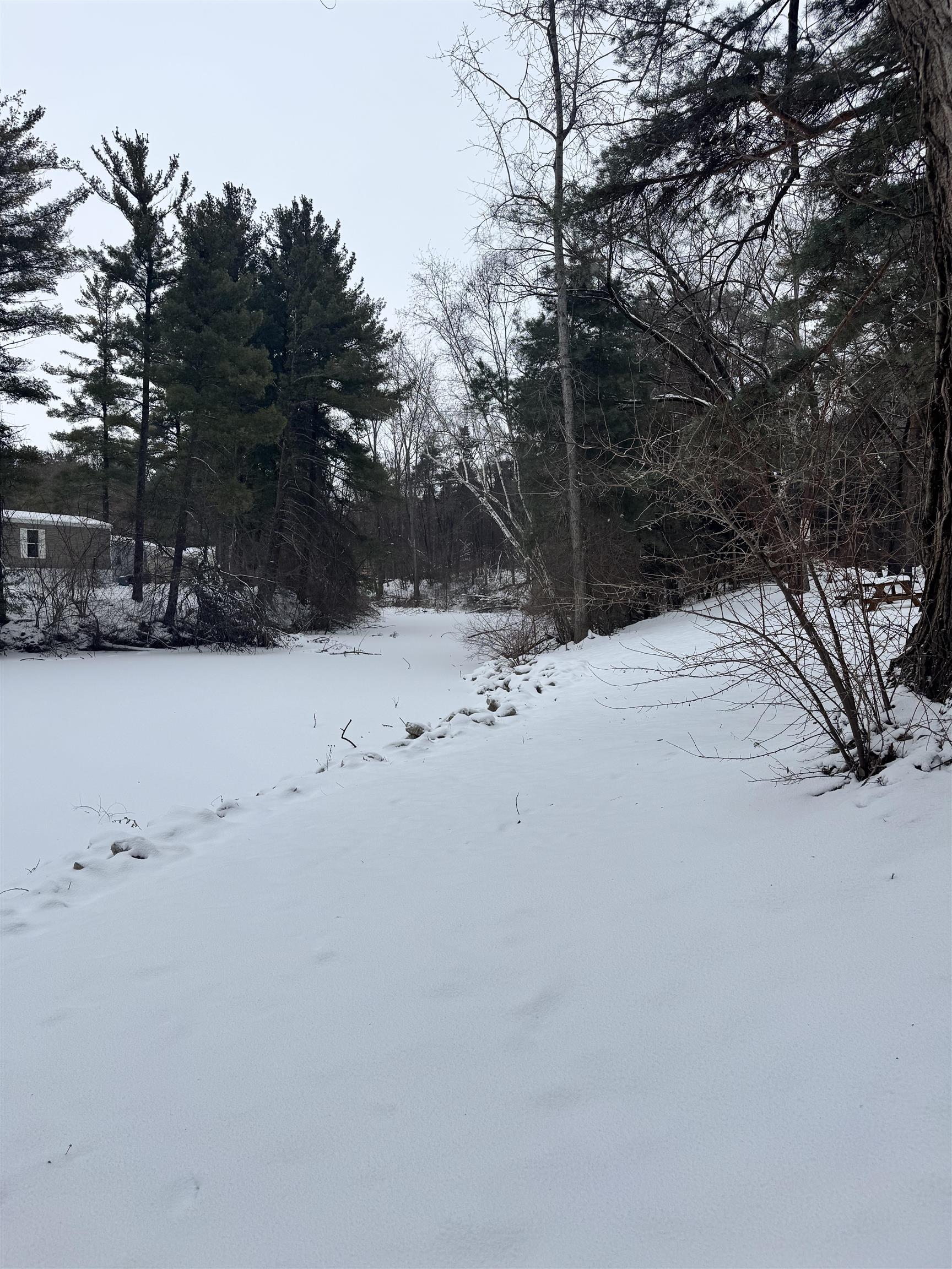 V/l West Caro Road Caro, MI 48723 - Photo 4 of 12