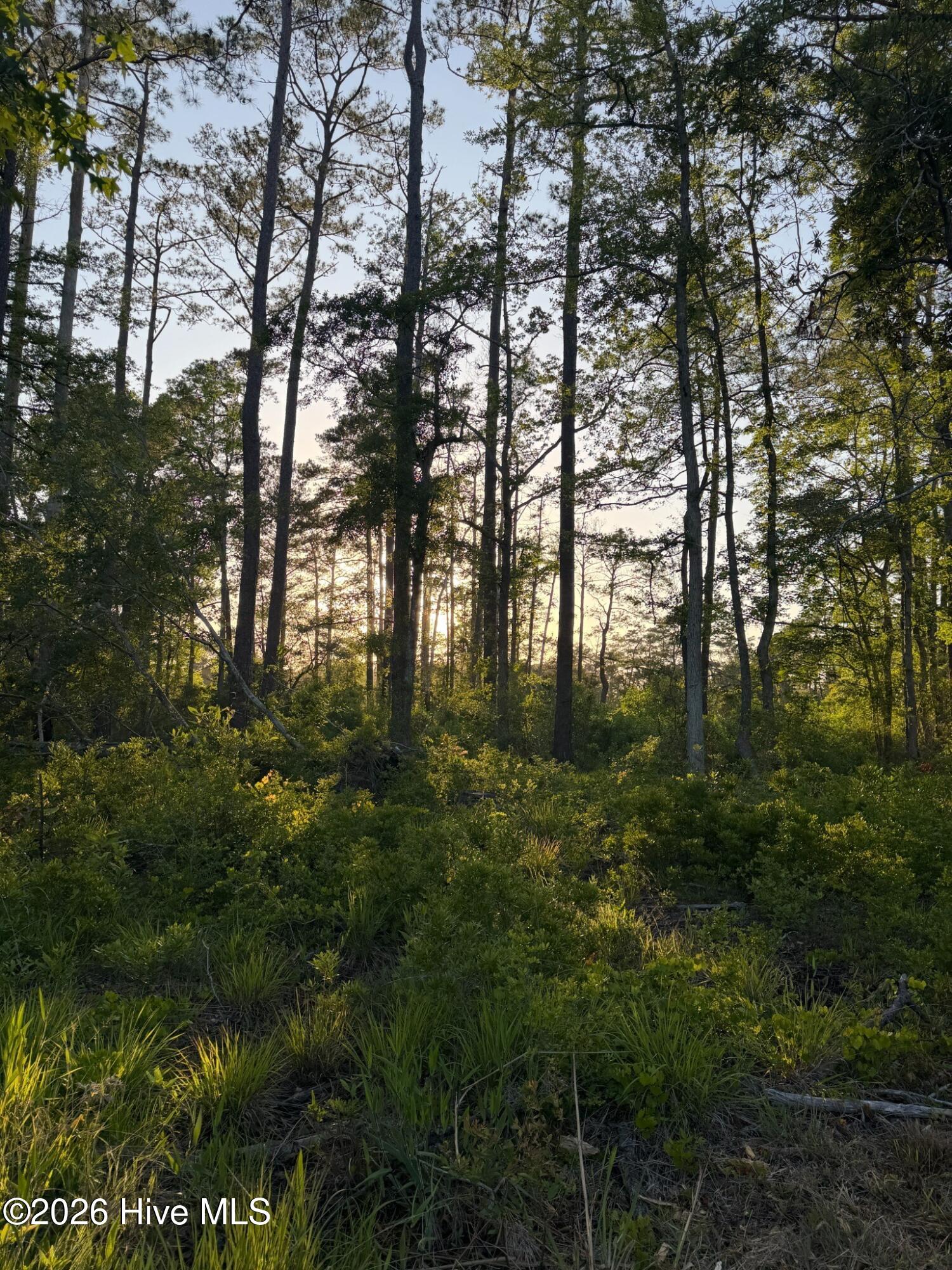 705 Russells Creek Road Beaufort, NC 28516 - Photo 30 of 36