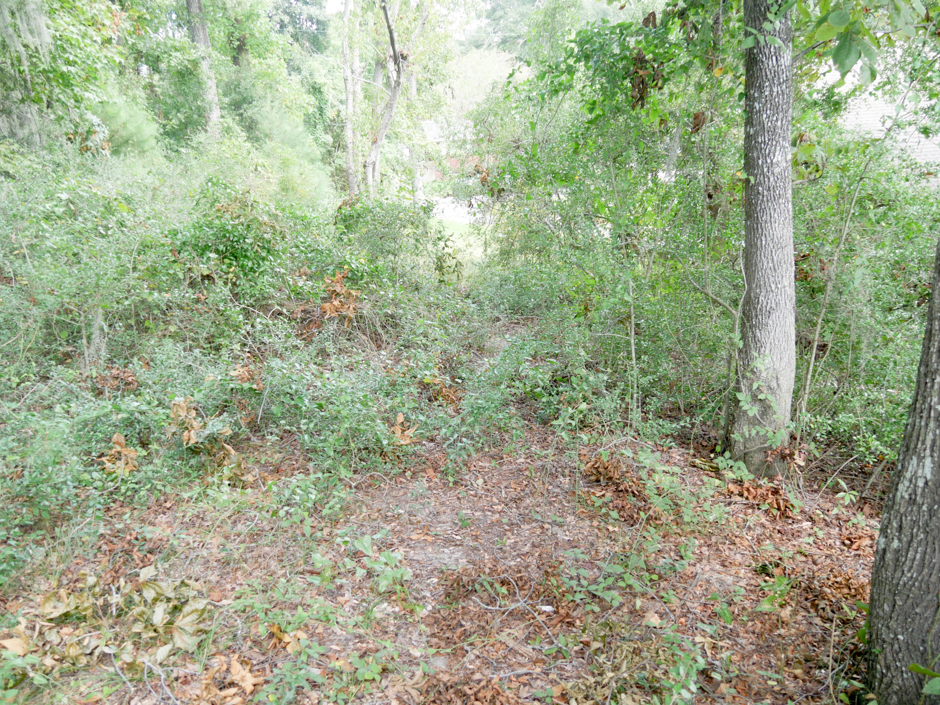 930-928 Valley Street Hanahan, SC 29410 - Photo 35 of 36 P1060455