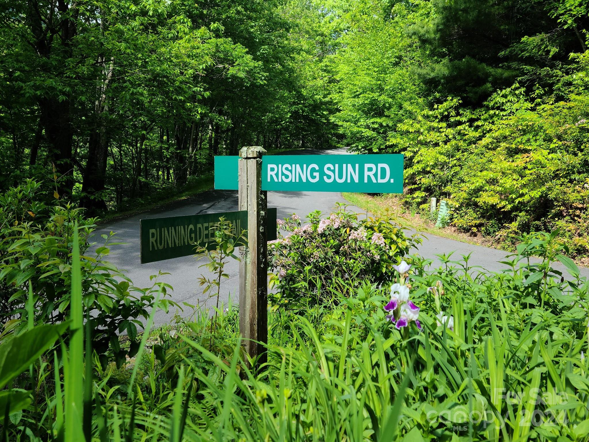 0 Rising Sun Road, Unit 338 Waynesville, NC 28786 - Photo 11 of 16