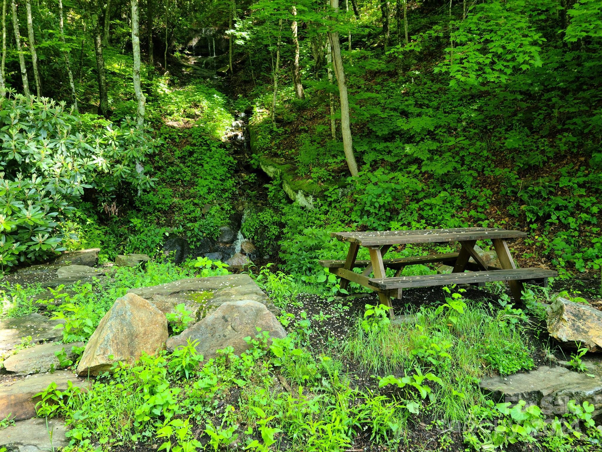 0 Rising Sun Road, Unit 338 Waynesville, NC 28786 - Photo 12 of 16