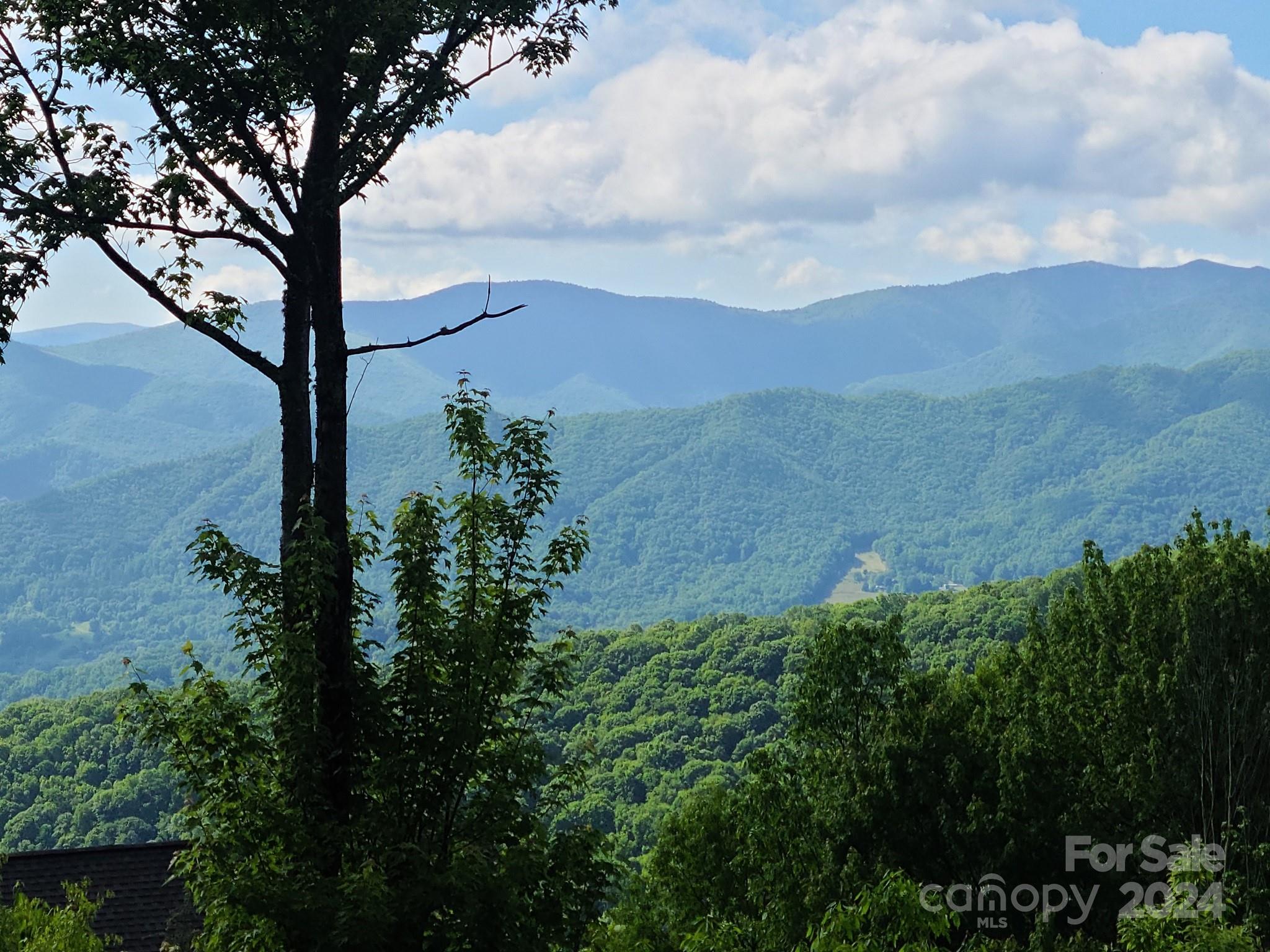 0 Rising Sun Road, Unit 338 Waynesville, NC 28786 - Photo 2 of 16