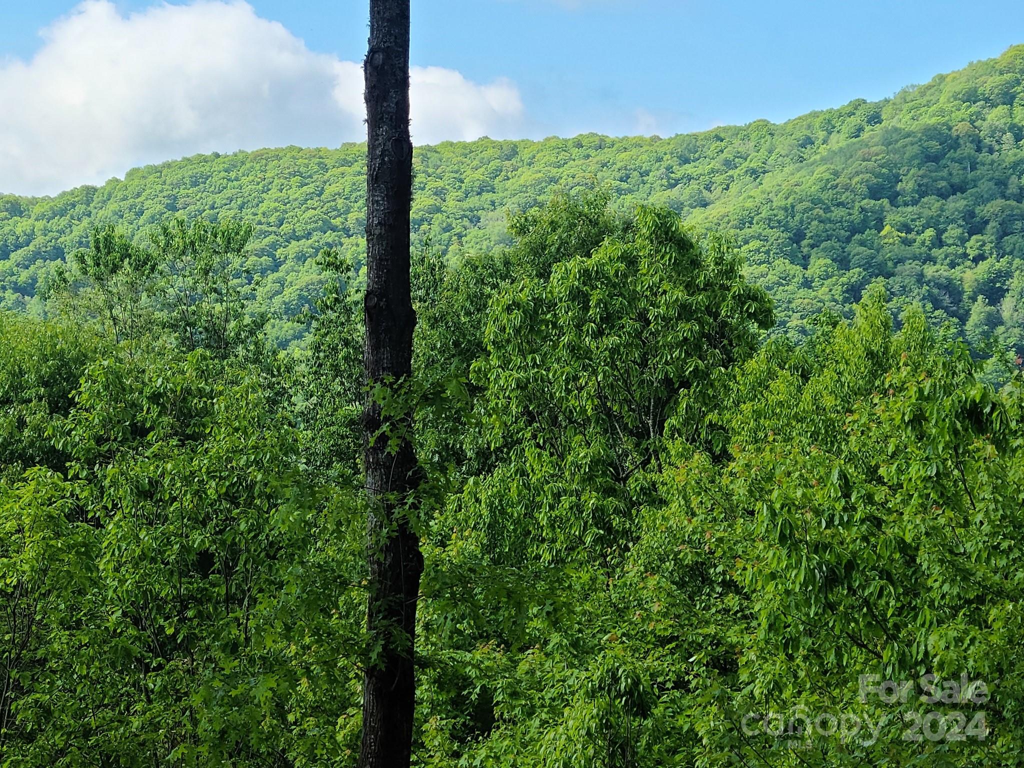 0 Rising Sun Road, Unit 338 Waynesville, NC 28786 - Photo 3 of 16