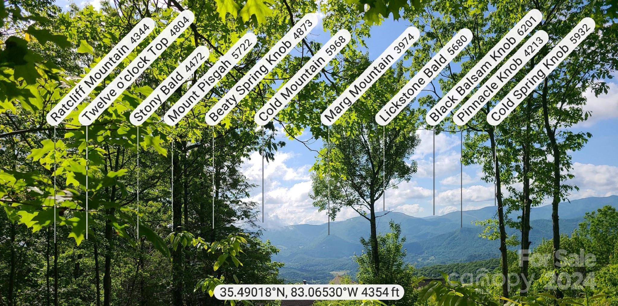 0 Rising Sun Road, Unit 338 Waynesville, NC 28786 - Photo 4 of 16