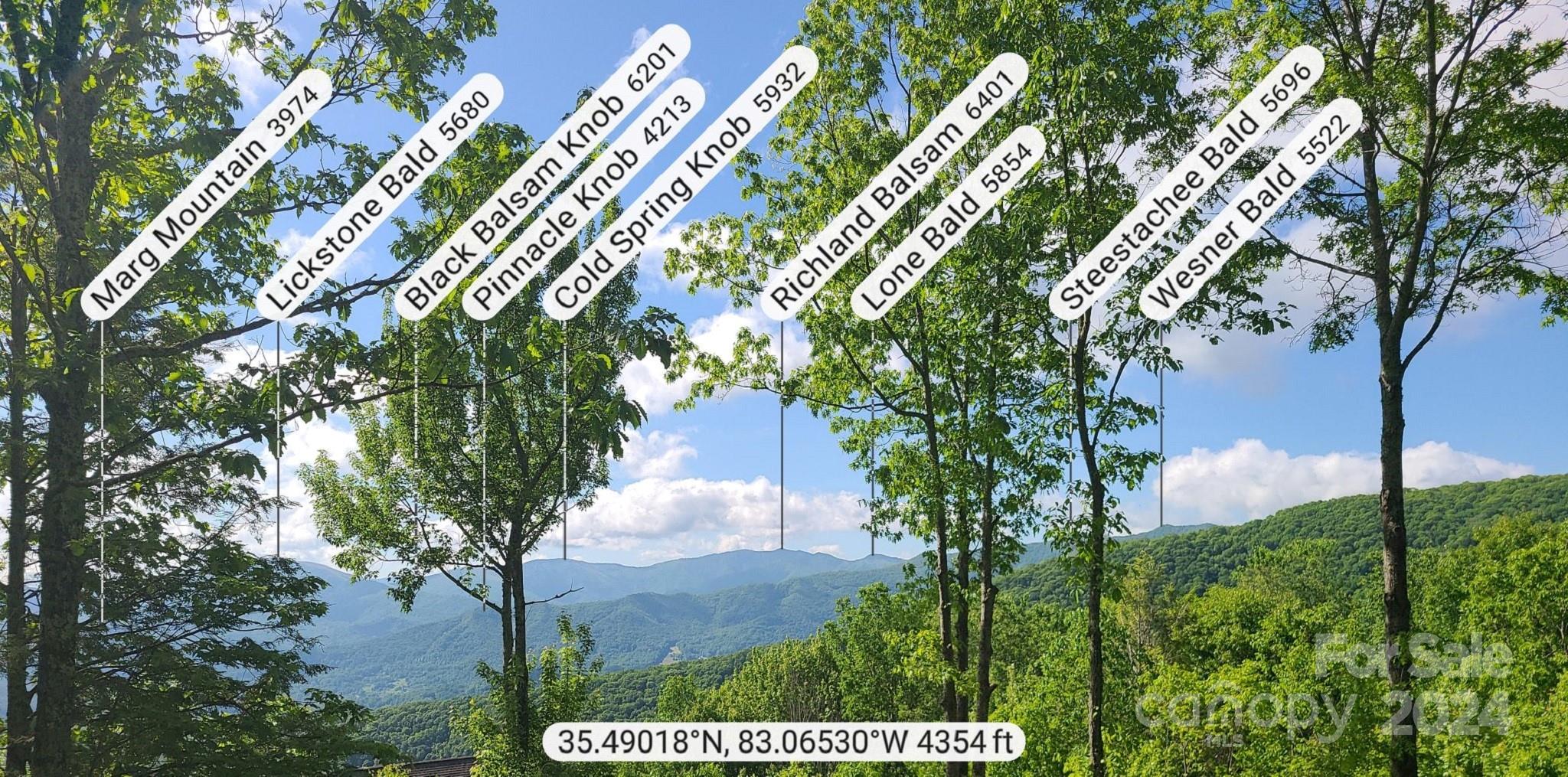 0 Rising Sun Road, Unit 338 Waynesville, NC 28786 - Photo 5 of 16
