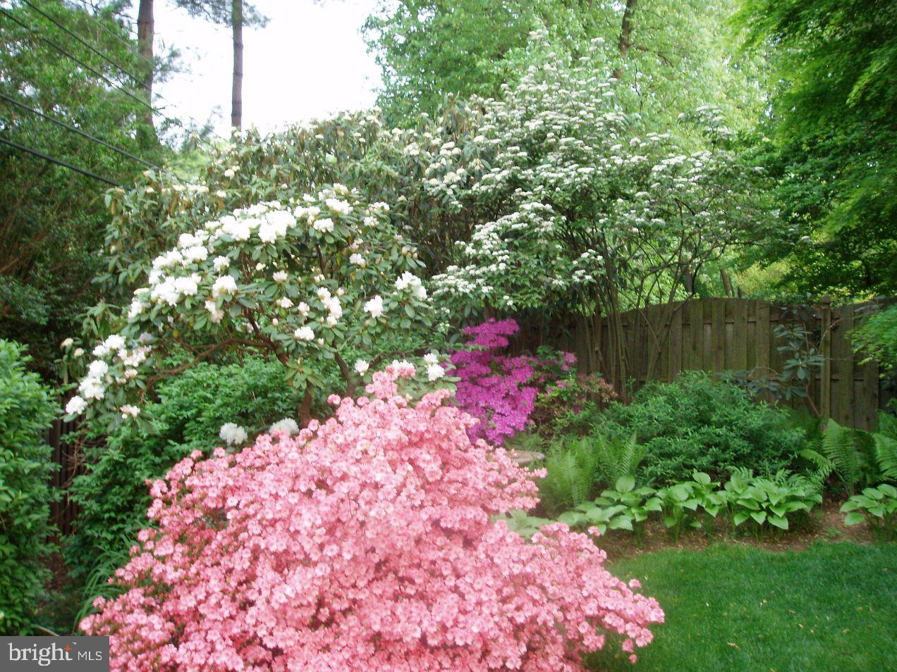 27 Red Oak Road Oreland, PA 19075 - Photo 24 of 25 Gallery Image 24