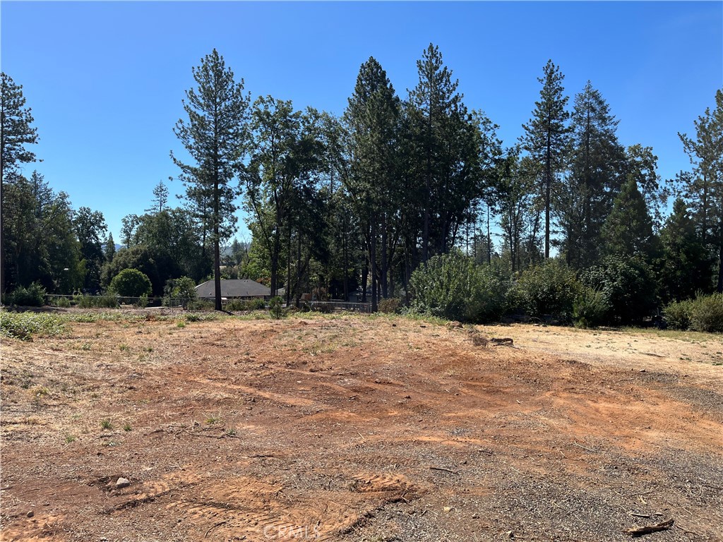 9238 Skyway Road Paradise, CA 95969 - Photo 9 of 9