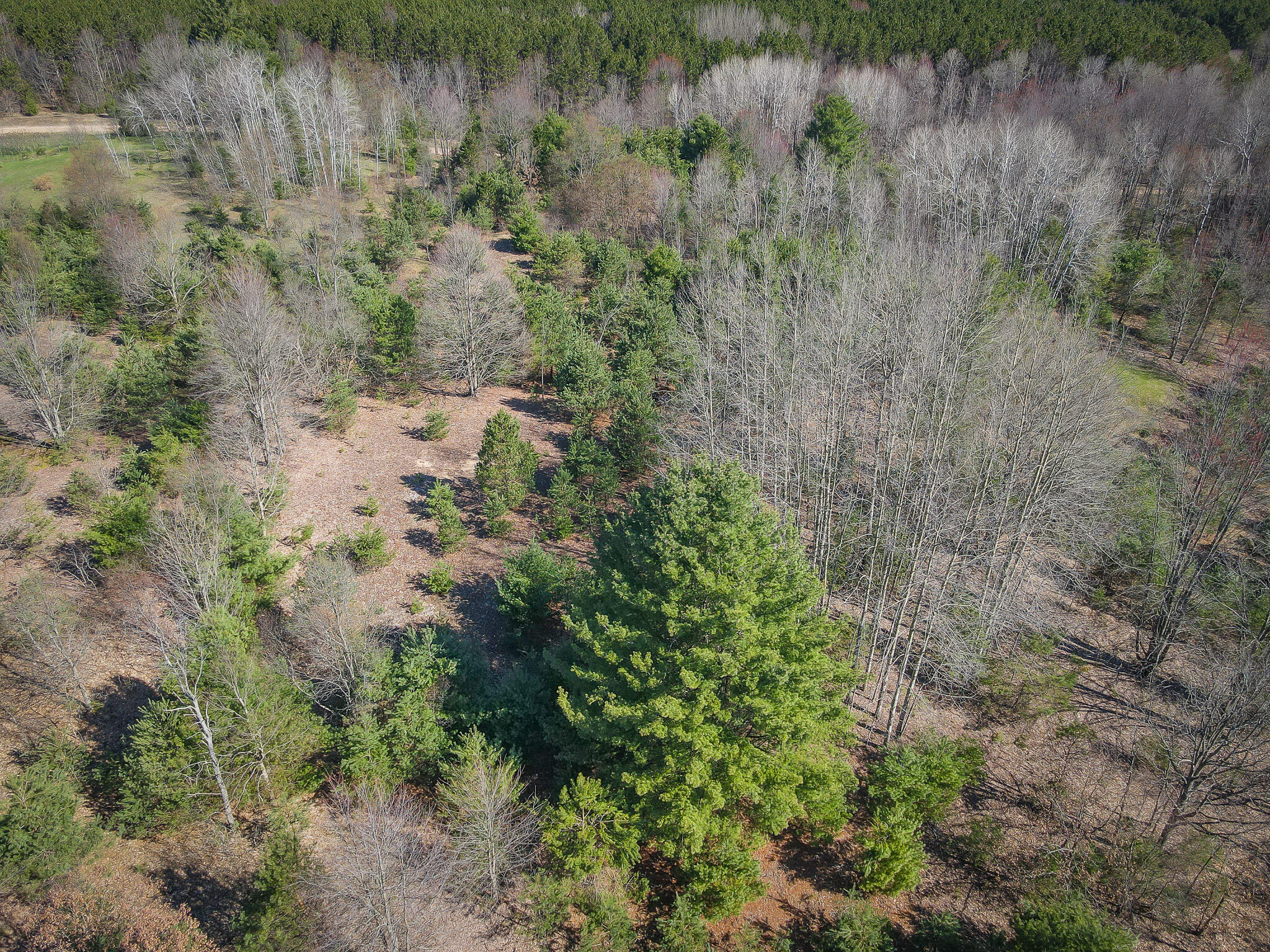 V/l East Baseline Road Shelby, MI 49455 - Photo 30 of 34 DJI_0981