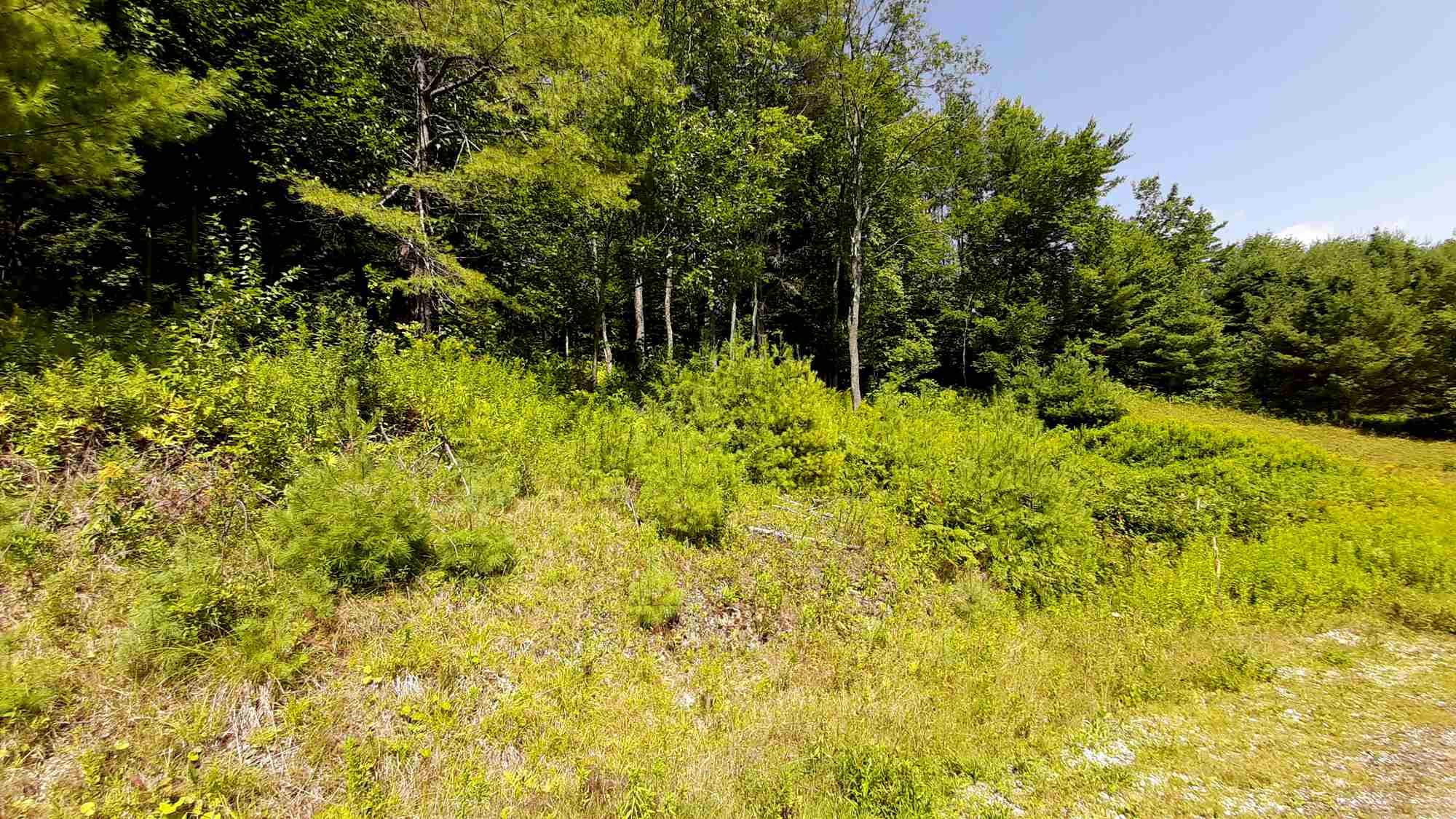 Preedom Hill Road, Unit 7 Ludlow, VT 05149 - Photo 8 of 9 Gallery Image 8