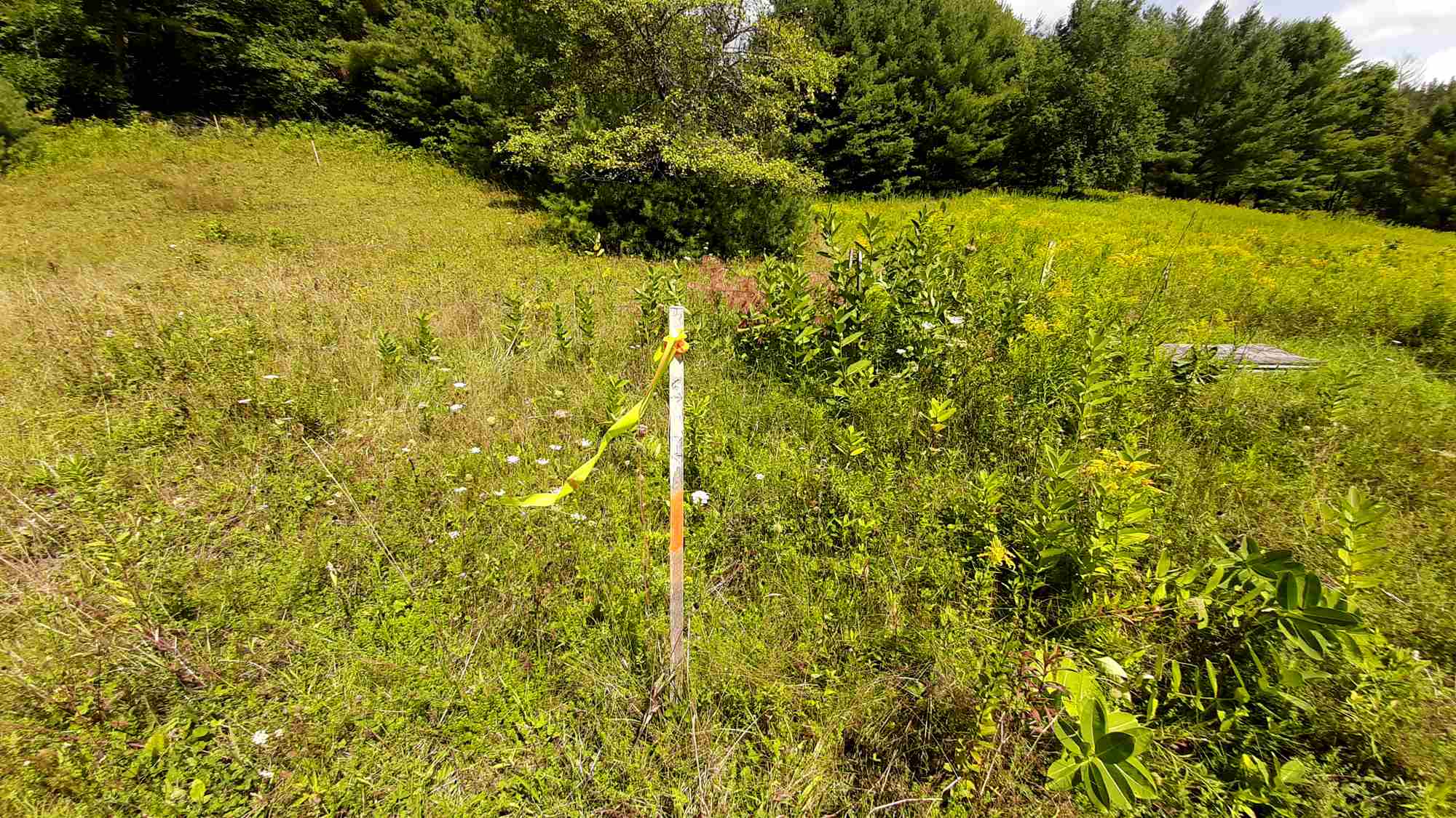 Preedom Hill Road, Unit 7 Ludlow, VT 05149 - Photo 9 of 9 Gallery Image 9