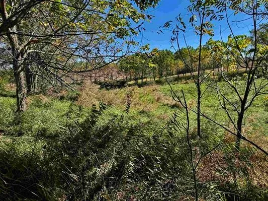 $375,000 | 41.80-acres County Road O, Mineral Point, WI 53565