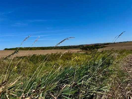 $375,000 | 41.80-acres County Road O, Mineral Point, WI 53565