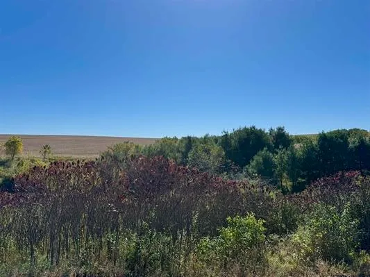 $375,000 | 41.80-acres County Road O, Mineral Point, WI 53565
