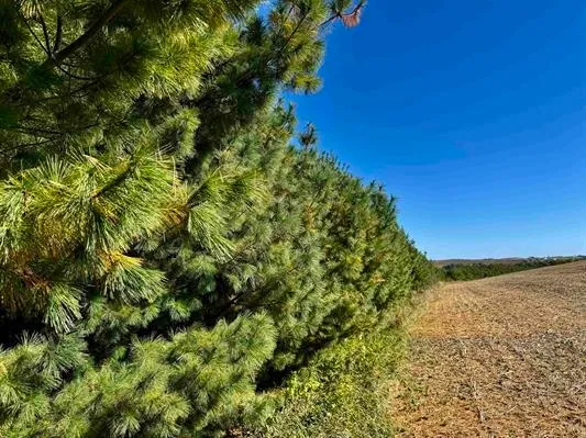 $375,000 | 41.80-acres County Road O, Mineral Point, WI 53565