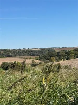 $375,000 | 41.80-acres County Road O, Mineral Point, WI 53565