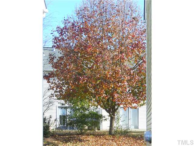 2004 Metacomet Way Raleigh, NC 27604 - Photo 18 of 23 a picture of a tree in a backyard