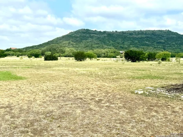 a view of a garden with a yard