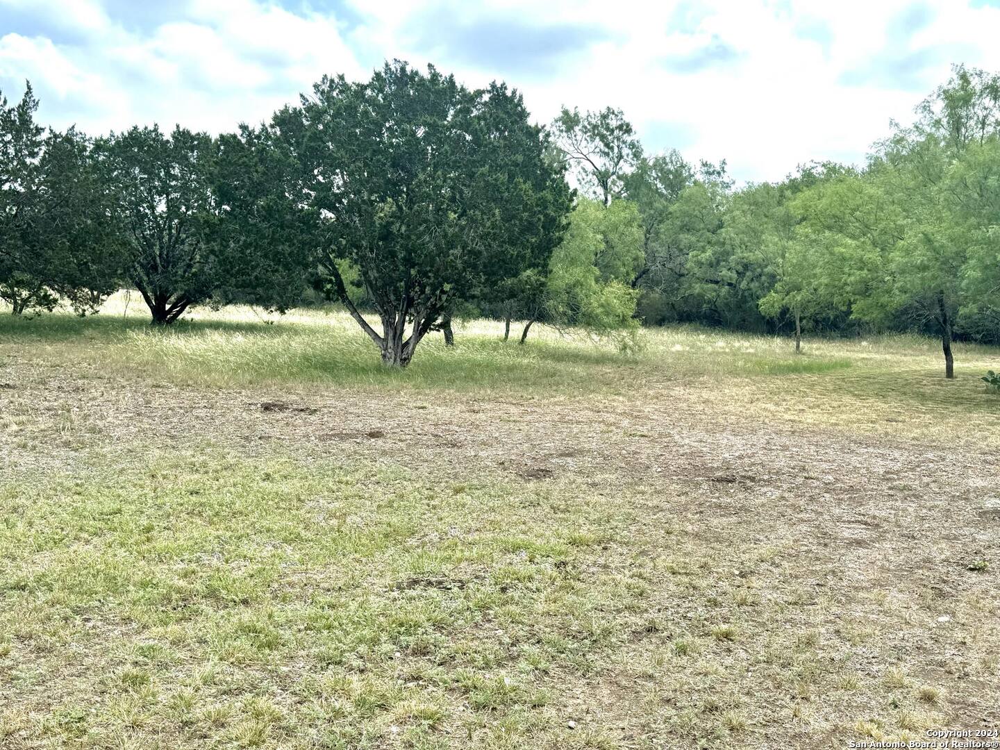 1189 North A Cr Concan, TX 78838 - Photo 18 of 68 a view of a yard with trees