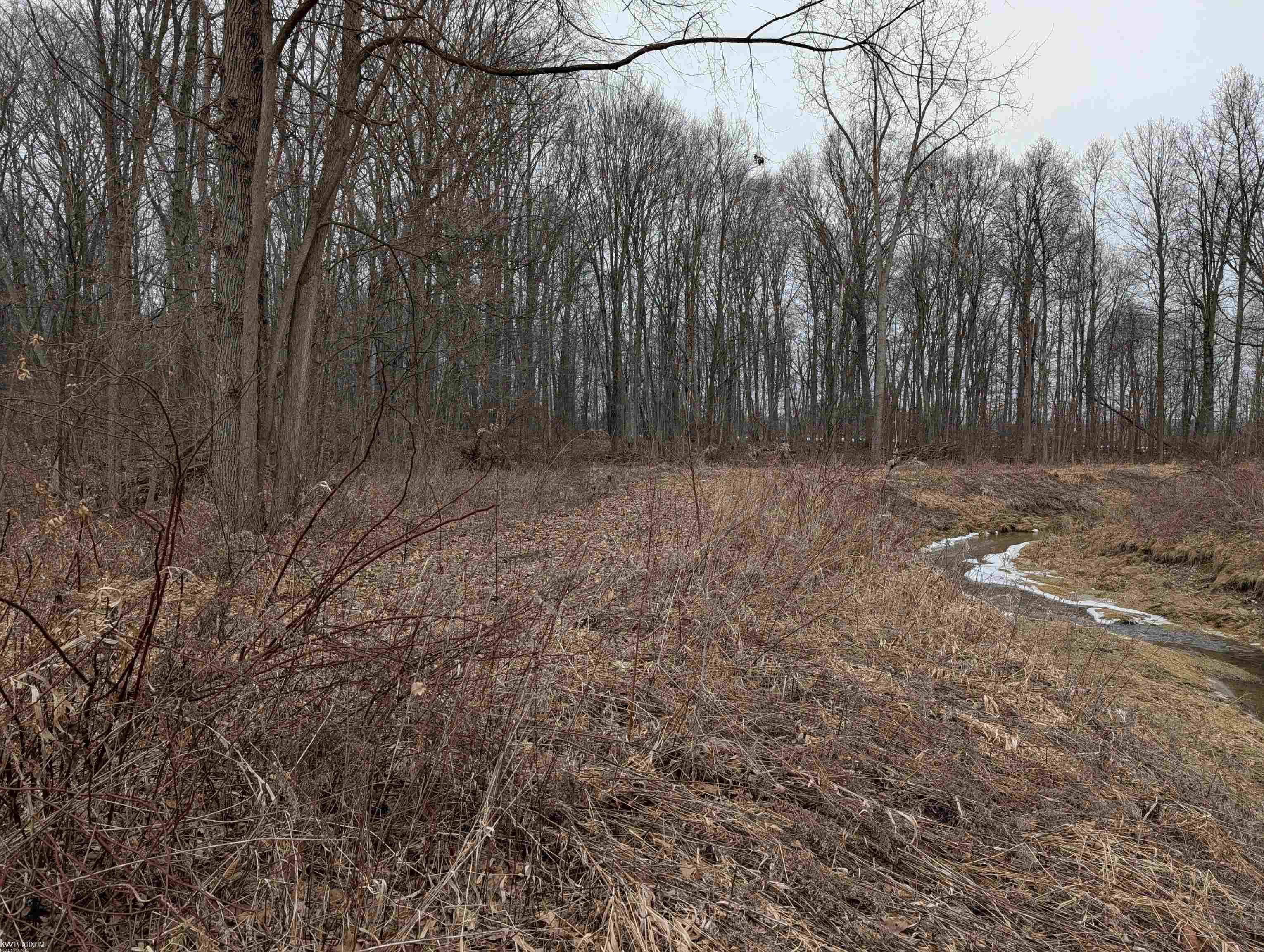 9072 Green Road Goodells, MI 48027 - Photo 60 of 73