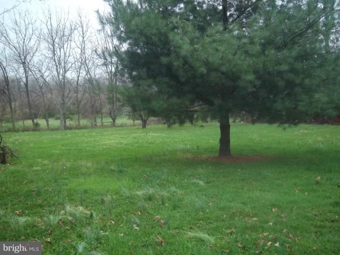 171 Rock Springs Road Conowingo, MD 21918 - Photo 14 of 17 BACKYARD