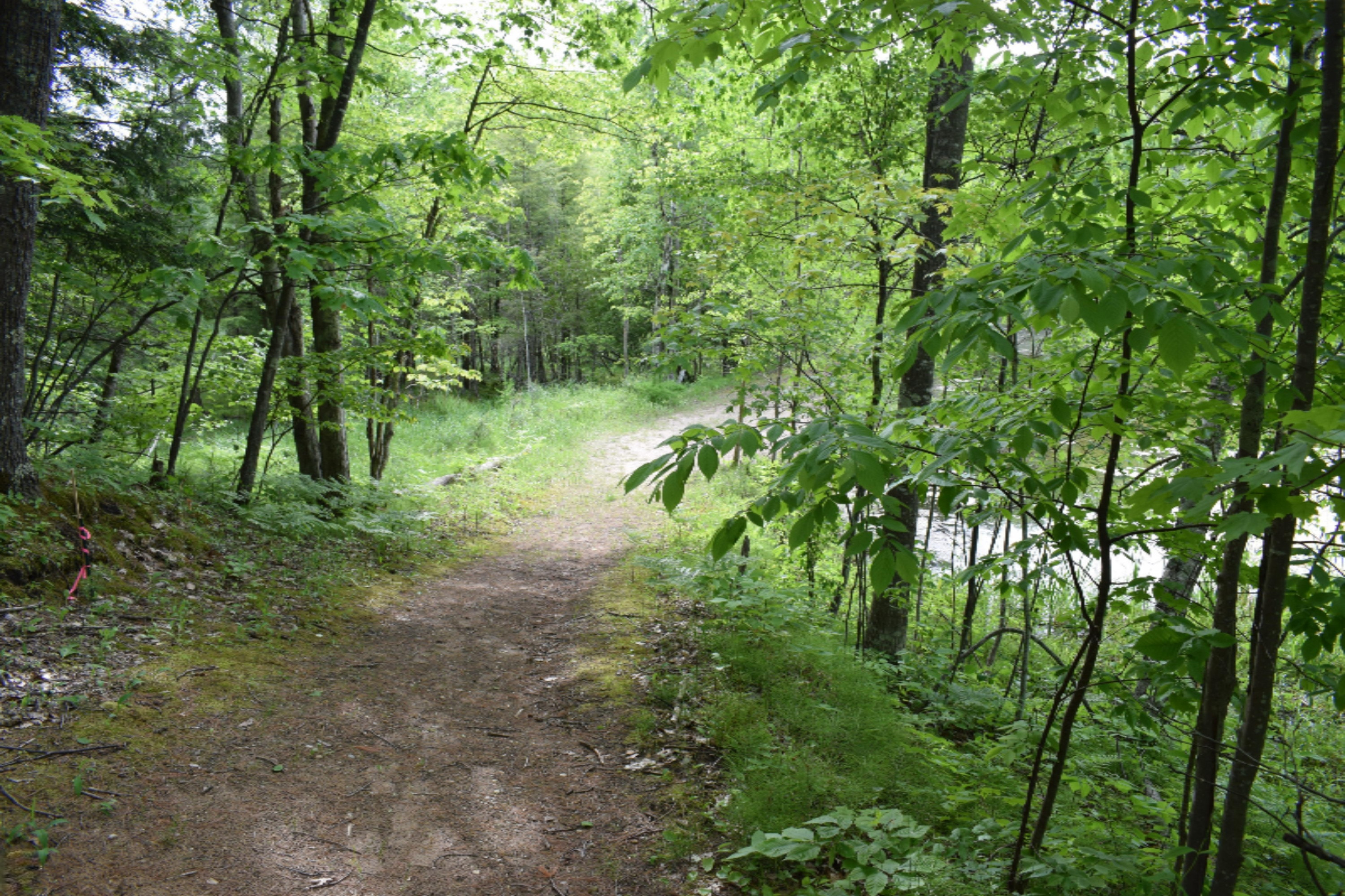 2328 Bialik Road Manistee, MI 49660 - Photo 39 of 59 DSC_0048