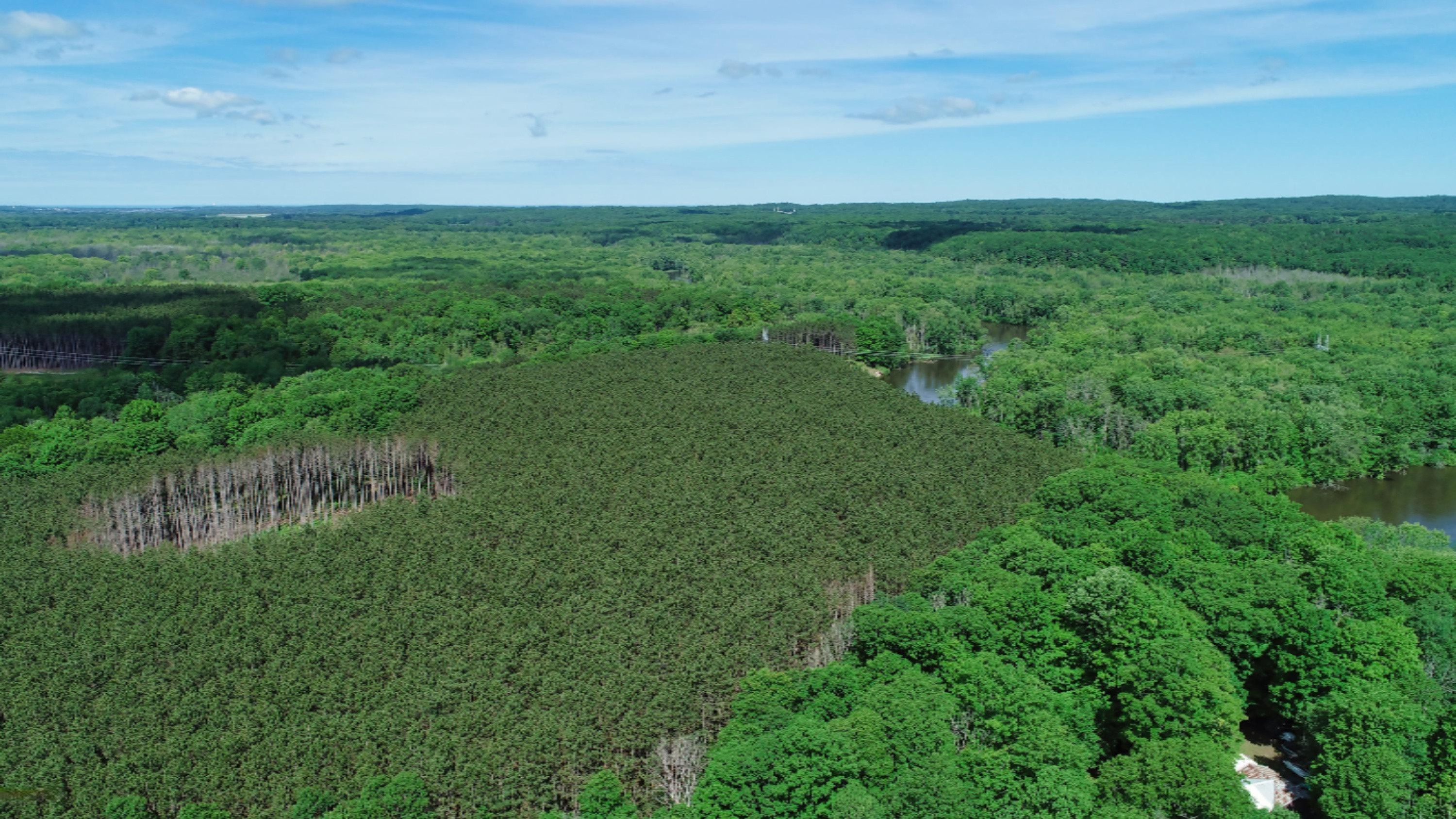 2328 Bialik Road Manistee, MI 49660 - Photo 50 of 59 DJI_0015