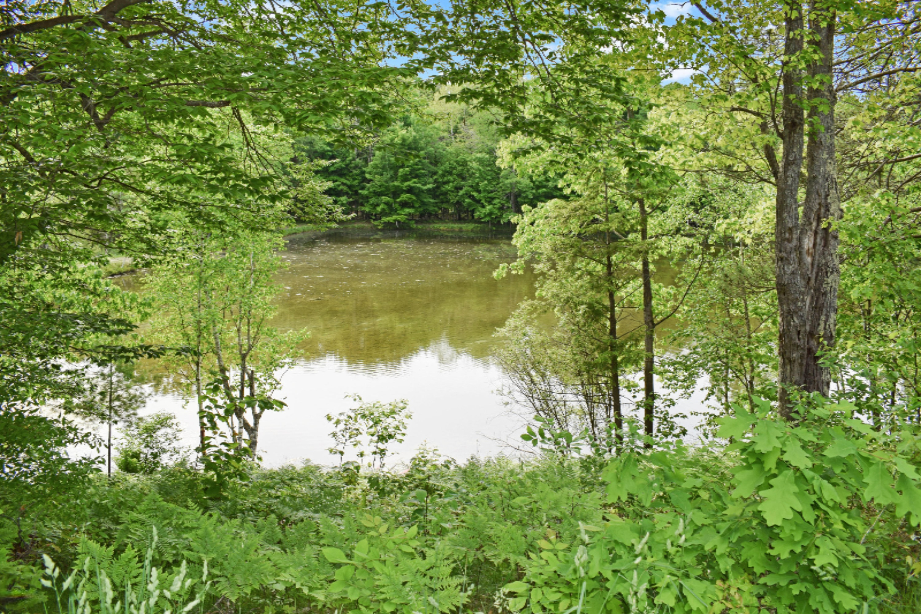 2328 Bialik Road Manistee, MI 49660 - Photo 8 of 59 udzbdbg65piwqcjdiafsudmcmxacpjfsx43ezqku