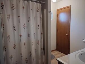 2024 Grove Avenue Racine, WI 53405 - Photo 33 of 60 Shower over Tub