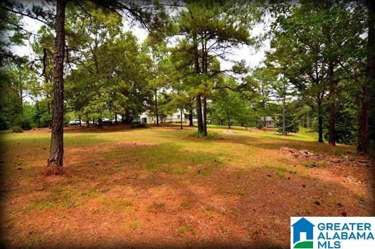 5512 Mays Bend Road Pell City, AL 35128 - Photo 33 of 37 Gallery Image 33