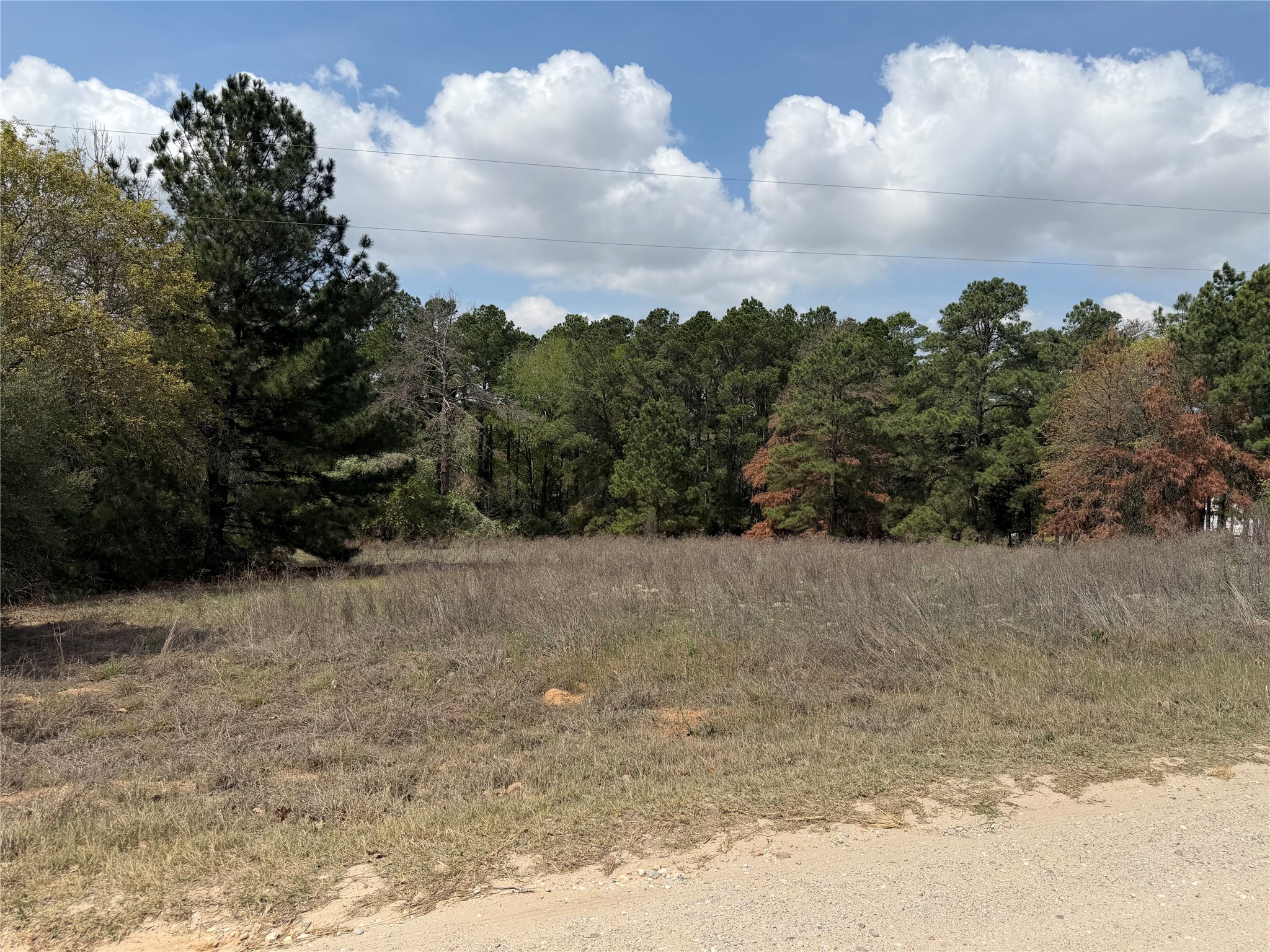 118 Edmonson Ranch Road McDade, TX 78650 - Photo 9 of 16 View of nature