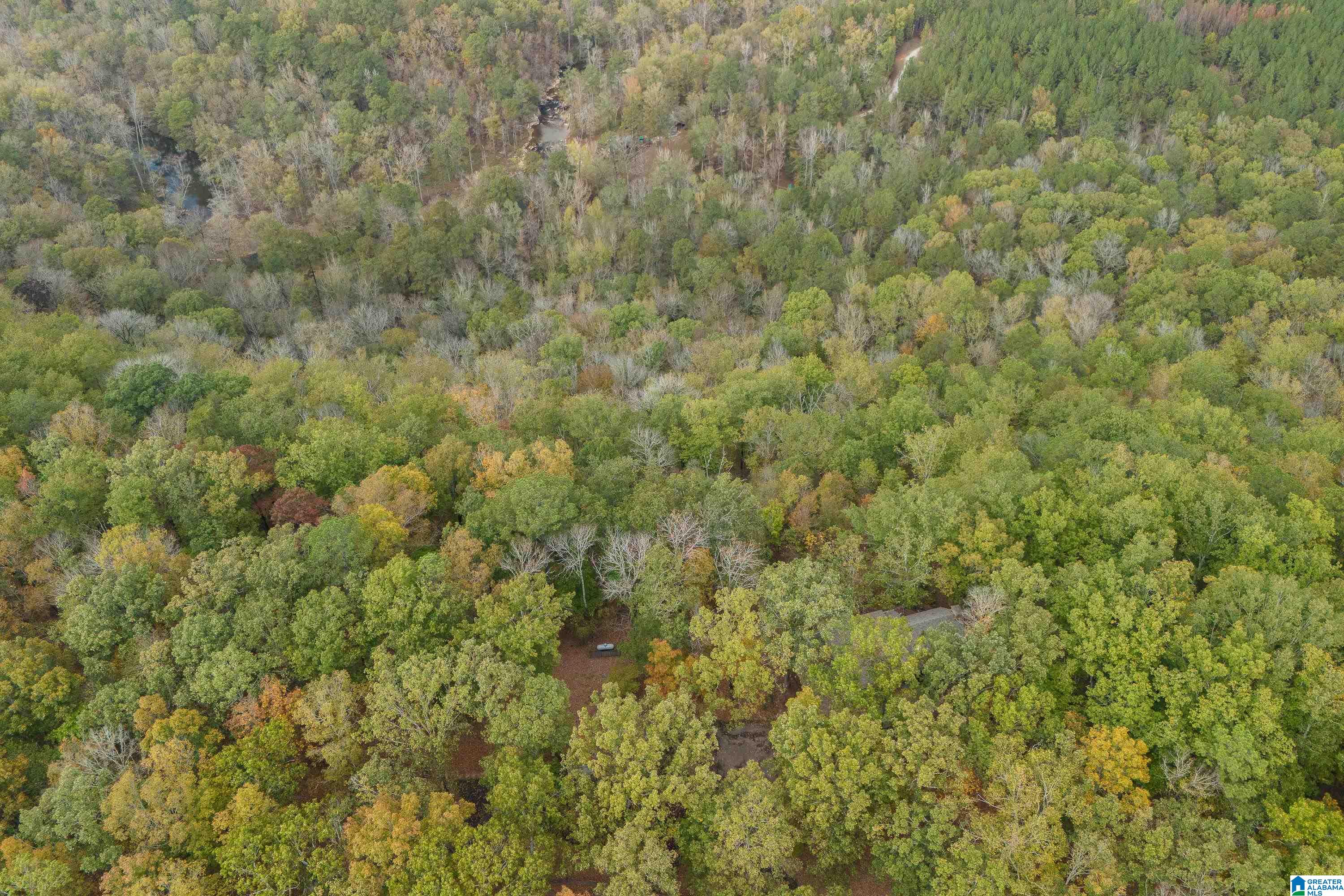 356 Sunset Ridge Bessemer, AL 35022 - Photo 72 of 75