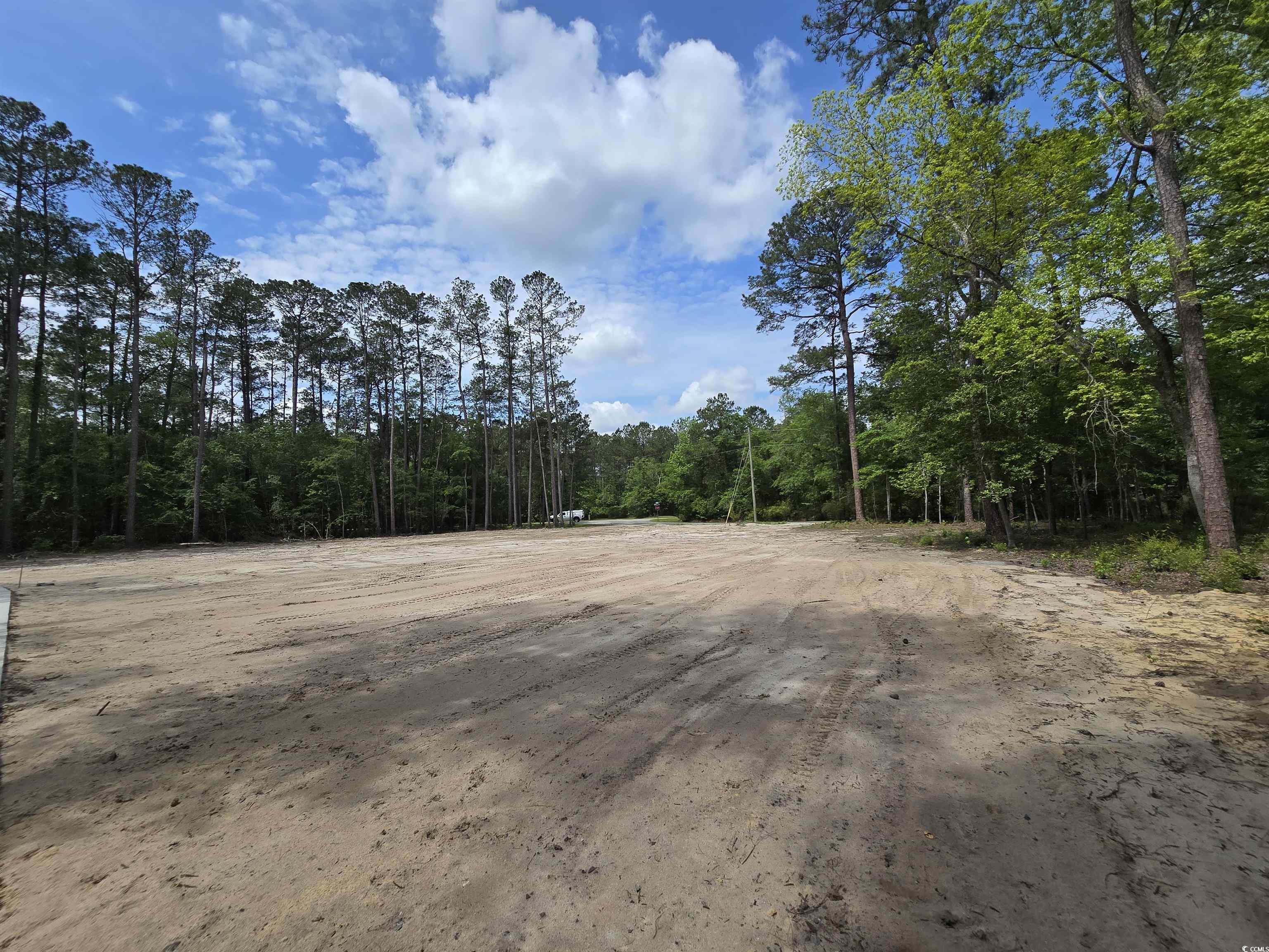 View of dirt / gravel road with a wooded view