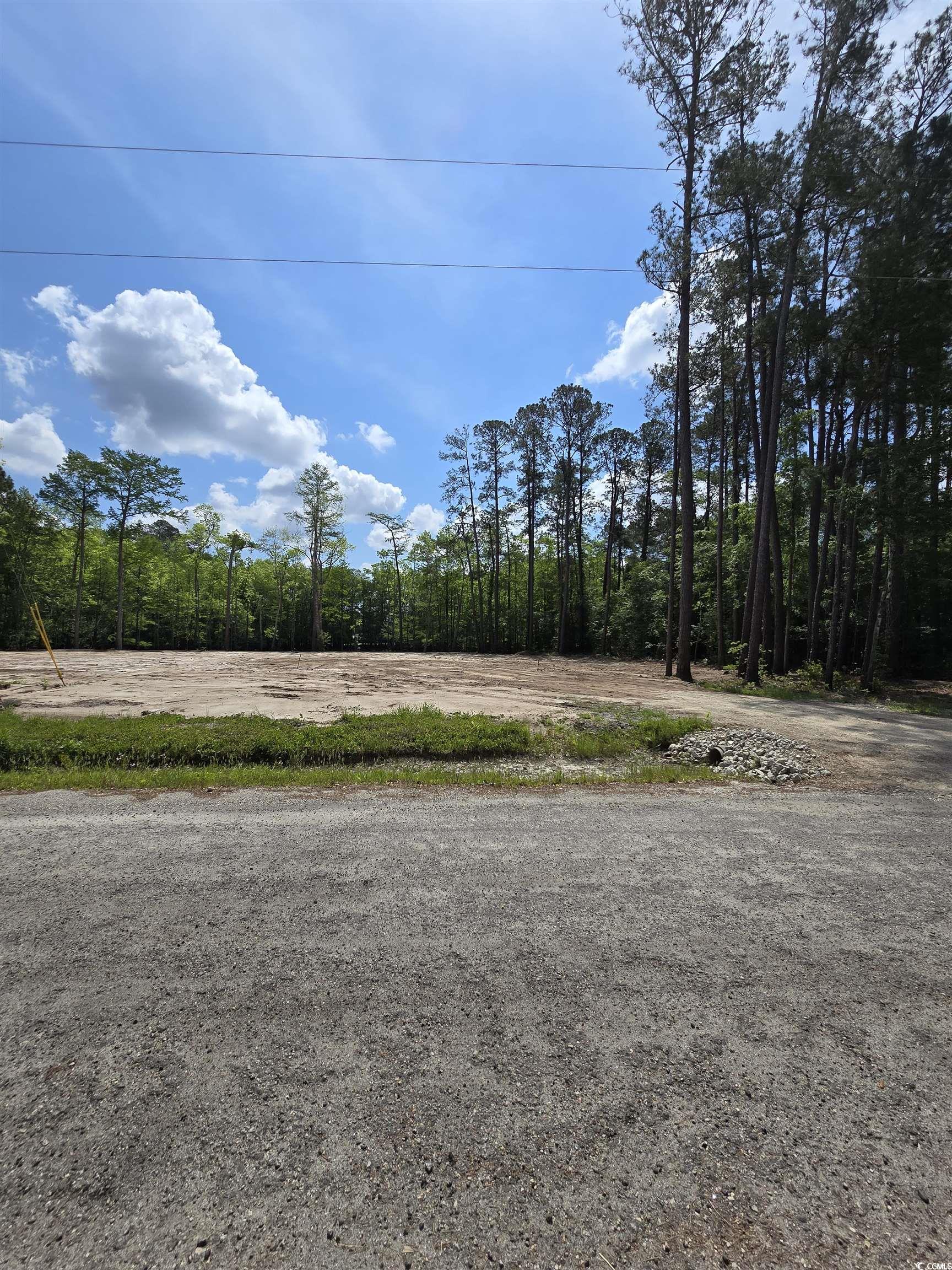 Lot 18 Cypress Knee Court Conway, SC 29526 - Photo 15 of 16 View of road with a forest view