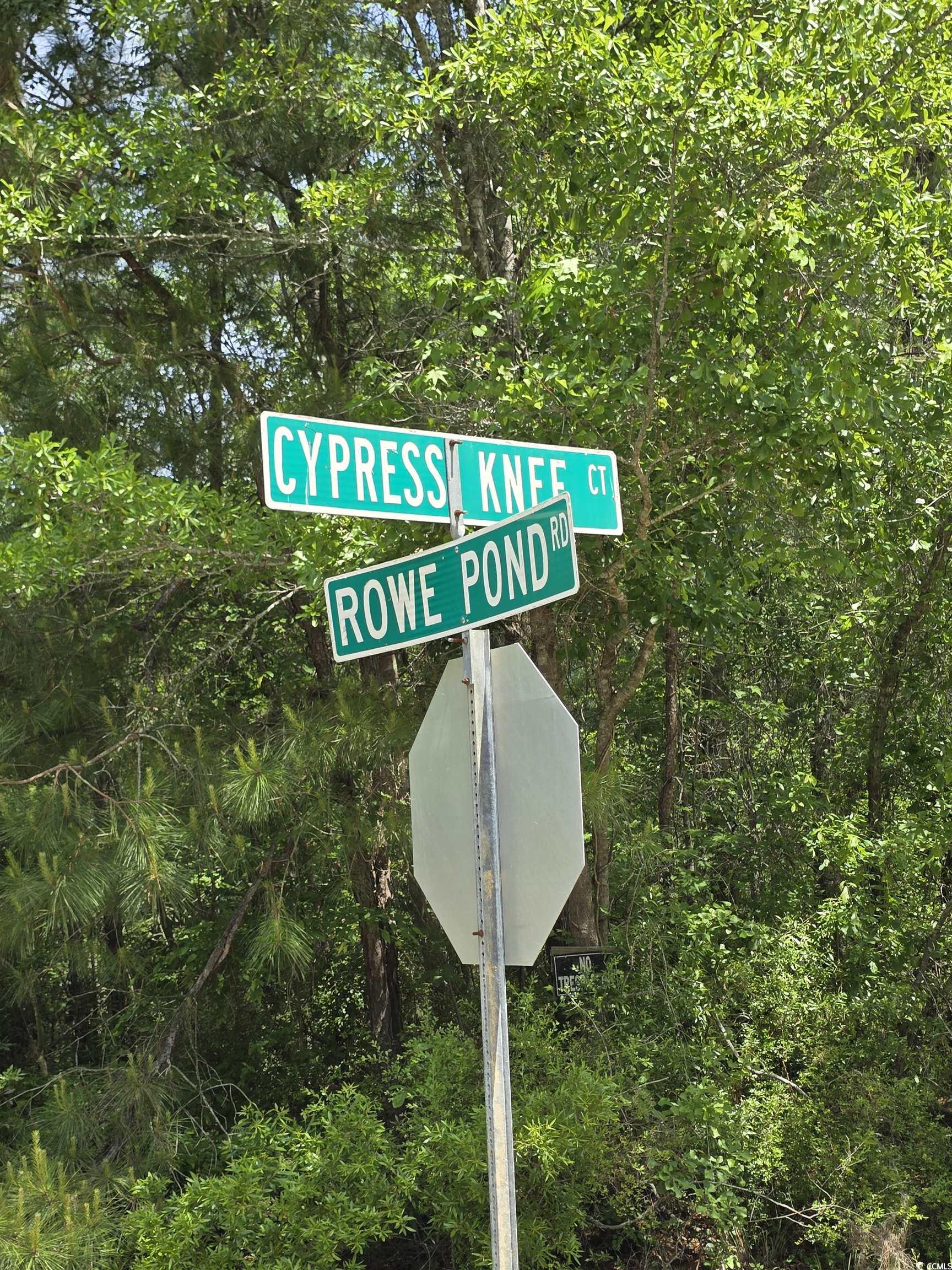 Lot 18 Cypress Knee Court Conway, SC 29526 - Photo 16 of 16 Exterior view