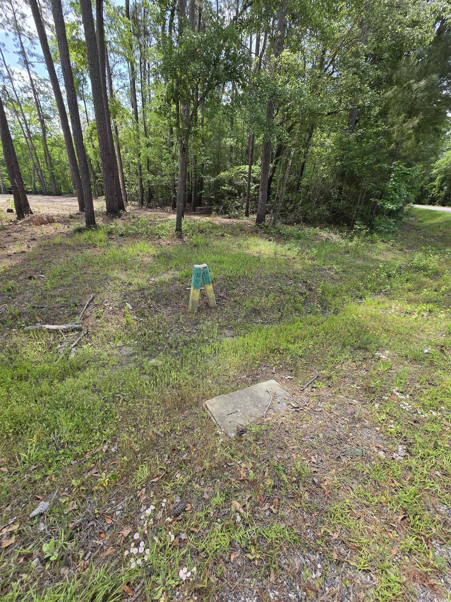 Lot 18 Cypress Knee Court Conway, SC 29526 - Photo 2 of 16 View of yard