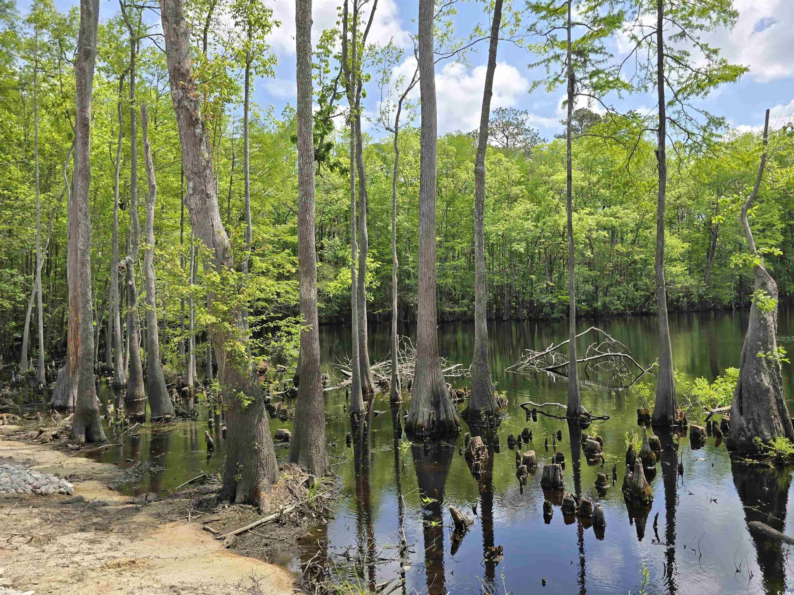 Lot 18 Cypress Knee Court Conway, SC 29526 - Photo 10 of 16 Water view
