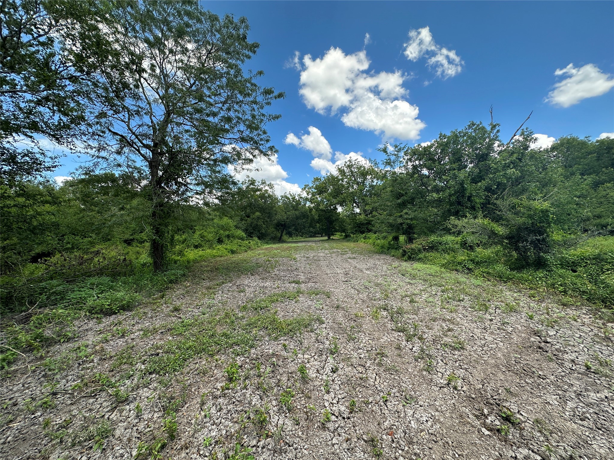 Tbd Tbd Navasota Ridge Road Navasota, TX 77868 - Photo 5 of 12 Gallery Image 5