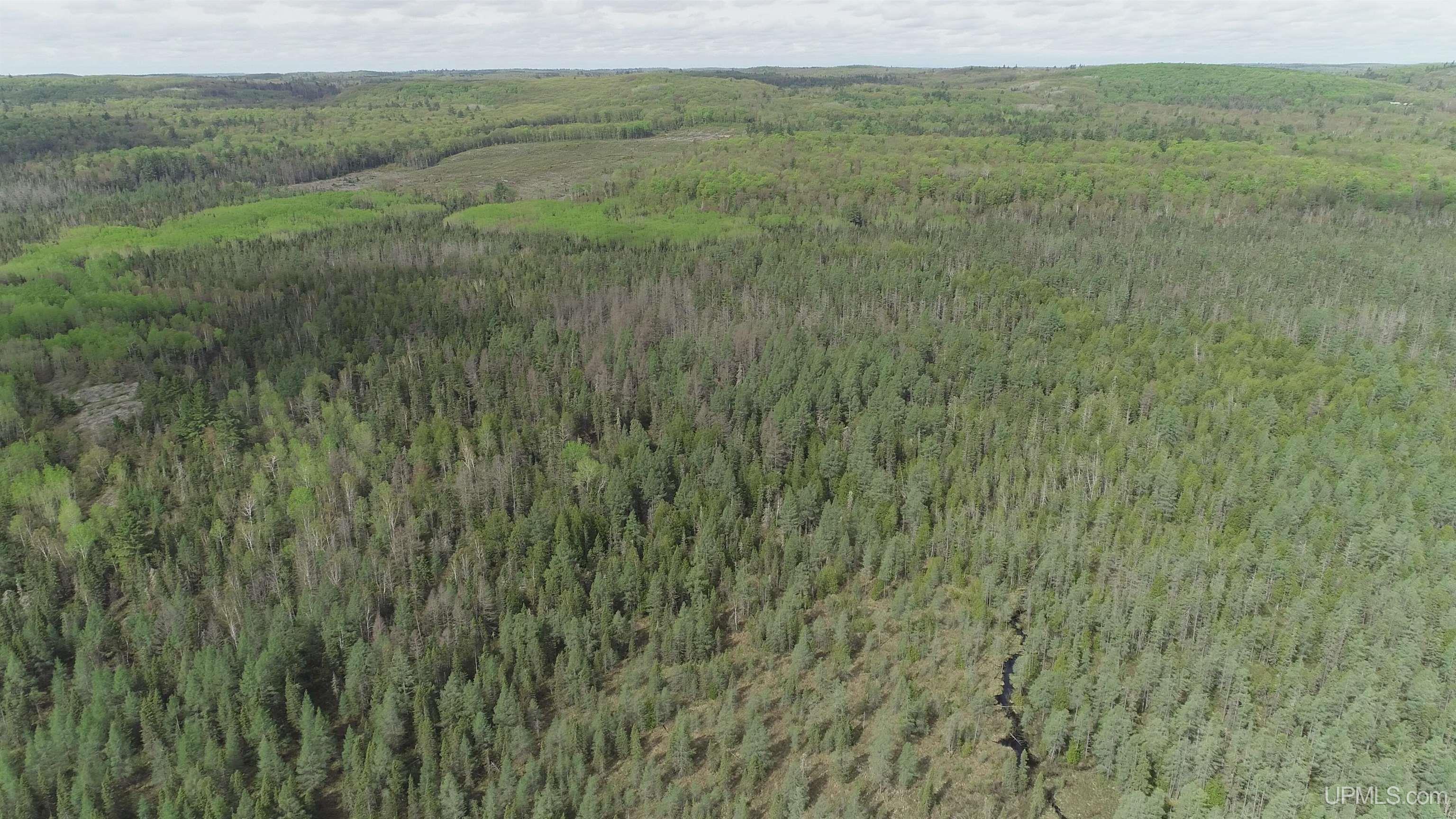 280-acres County Road CCN Road Negaunee, MI 49866 - Photo 34 of 48