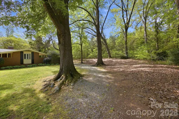 a view of a house with a yard and a large tree