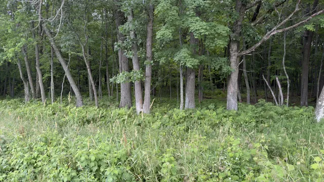 $270,000 | Xxx Xxx Athens, Stacy, MN 55079