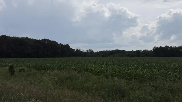 $270,000 | Xxx Xxx Athens, Stacy, MN 55079